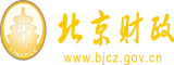 17C.con北京市财政局