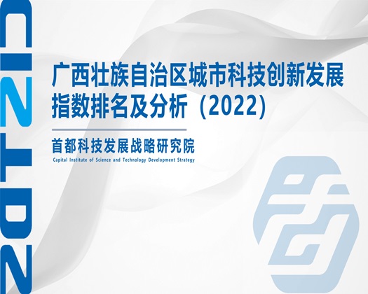 女生下面好爽啊啊啊【成果发布】广西壮族自治区城市科技创新发展指数排名及分析（2022）